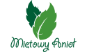 Mietowy Anioł Agroturystyka Bieszczady logo 5