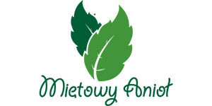 Mietowy Anioł Agroturystyka Bieszczady logo 5